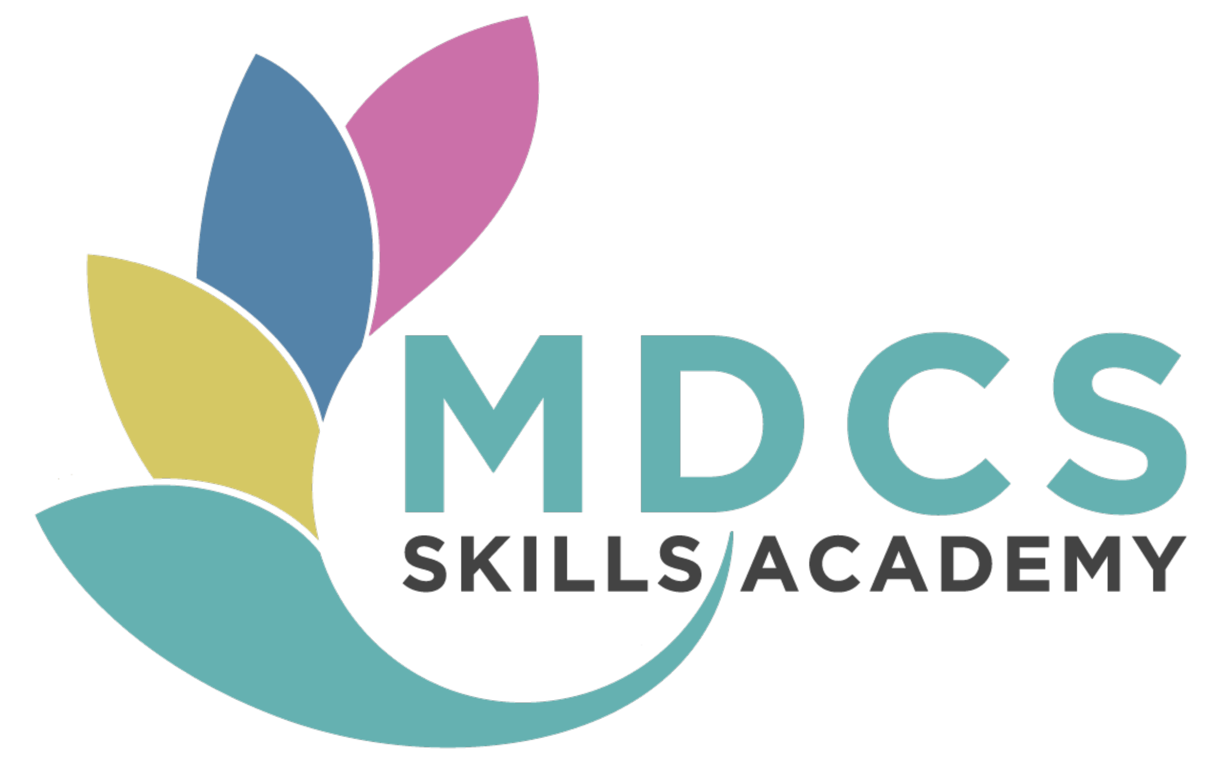 MDCS Skills Academy logo