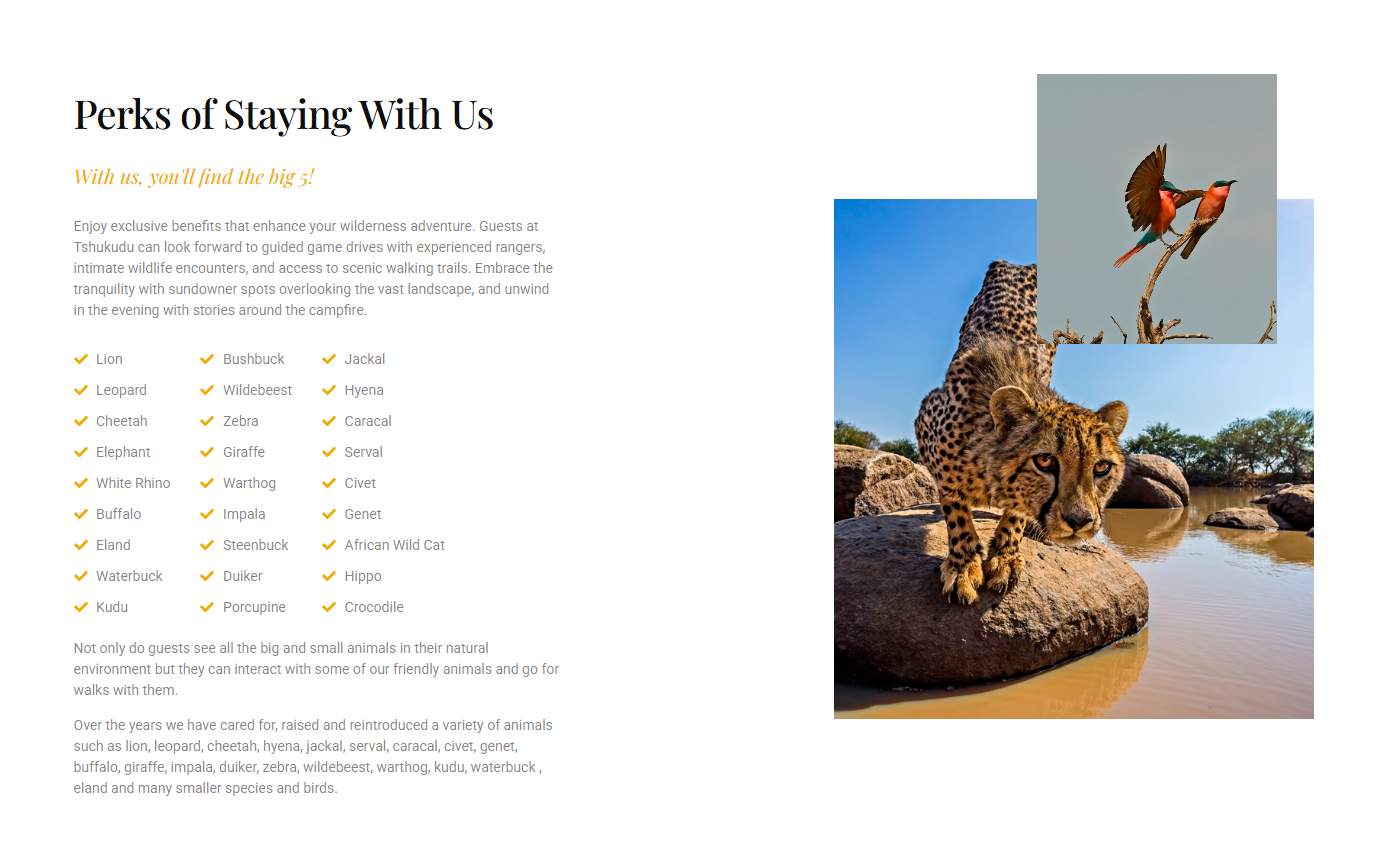 Tshukudu Bush Camp perks section